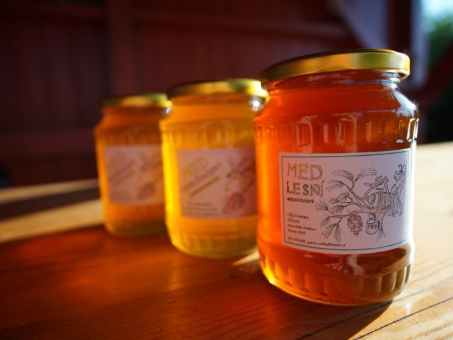 Třeboňská krajina jako zdroj prvotřídního medu